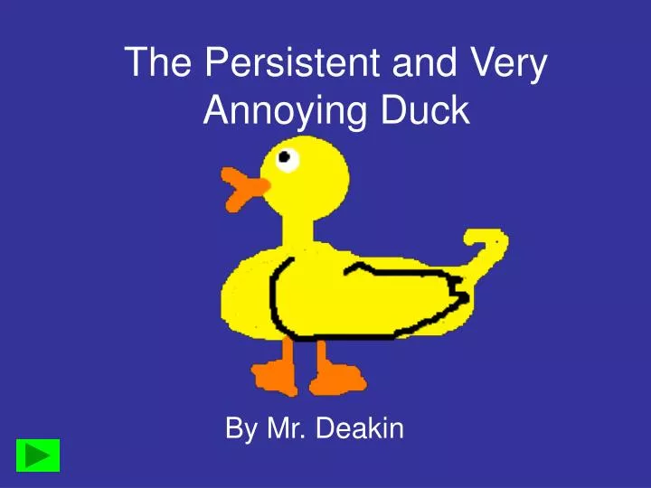 the persistent and very annoying duck