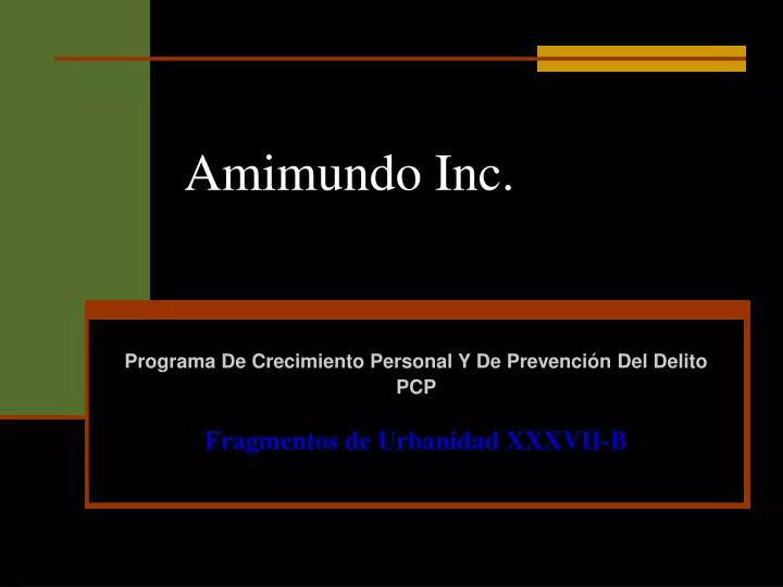 amimundo inc