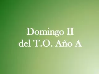 domingo ii del t o a o a