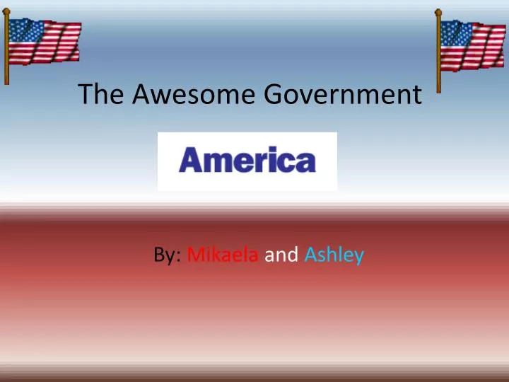 the awesome government