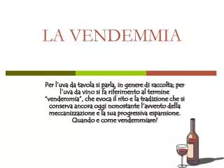 la vendemmia