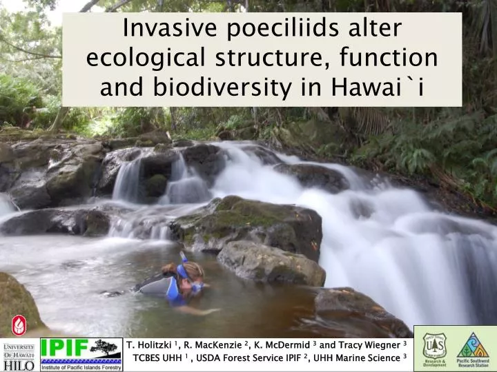 invasive poeciliids alter ecological structure function and biodiversity in hawai i