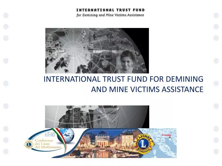 international trust fund for demining and mine victims assistance