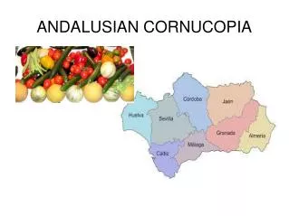 ANDALUSIAN CORNUCOPIA