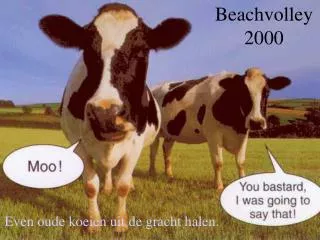 beachvolley 2000