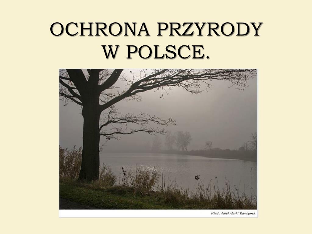 PPT - OCHRONA PRZYRODY W POLSCE. PowerPoint Presentation, free download
