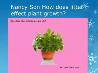 Nancy Son How does litter effect plant growth?