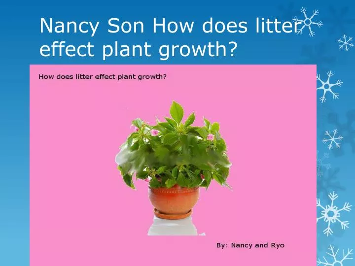 nancy son how does litter effect plant growth