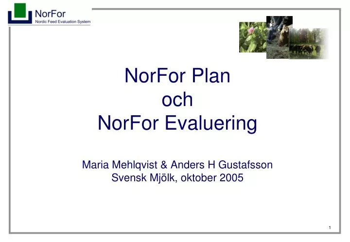 norfor plan och norfor evaluering maria mehlqvist anders h gustafsson svensk mj lk oktober 2005