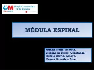 m dula espinal