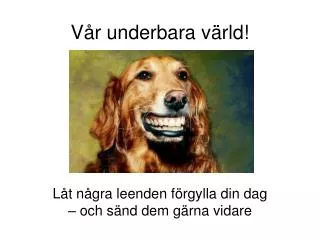 v r underbara v rld