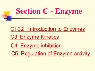 Section C - Enzyme