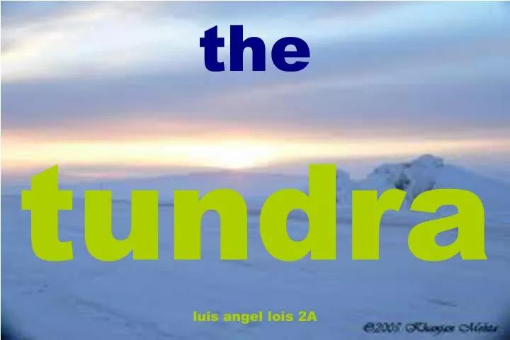 the tundra luis angel lois 2a