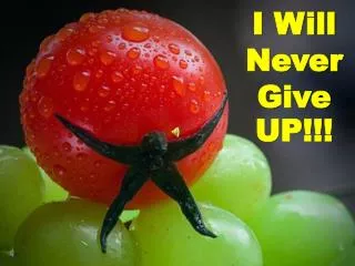 I Will Never Give UP!!!