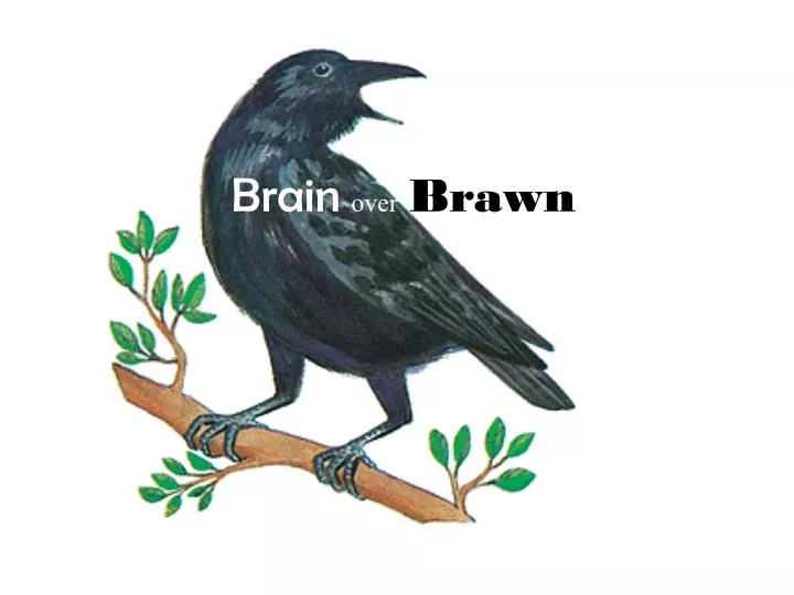 brain over brawn