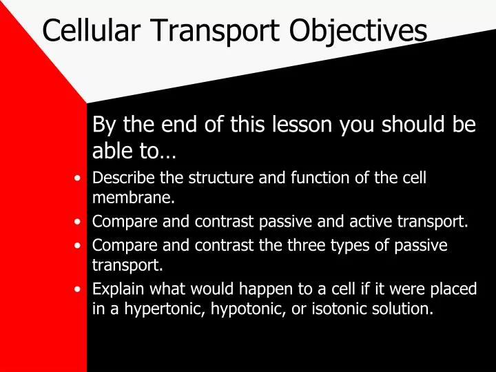 cellular transport objectives