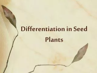 Differentiation in Seed Plants