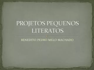 projetos pequenos literatos