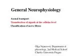 General Neurophysiology - slide 1