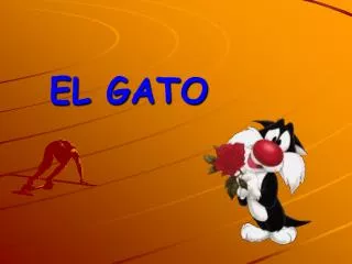 el gato