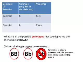 What are all the possible genotypes that could give me the phenotype of BLACK ?