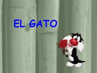 el gato