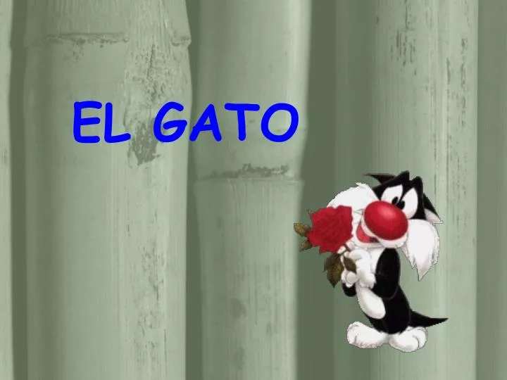 el gato