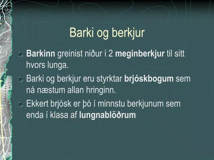 barki og berkjur