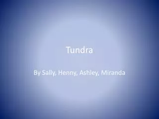 Tundra