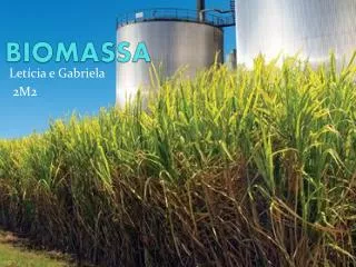 biomassa