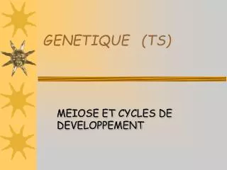genetique ts