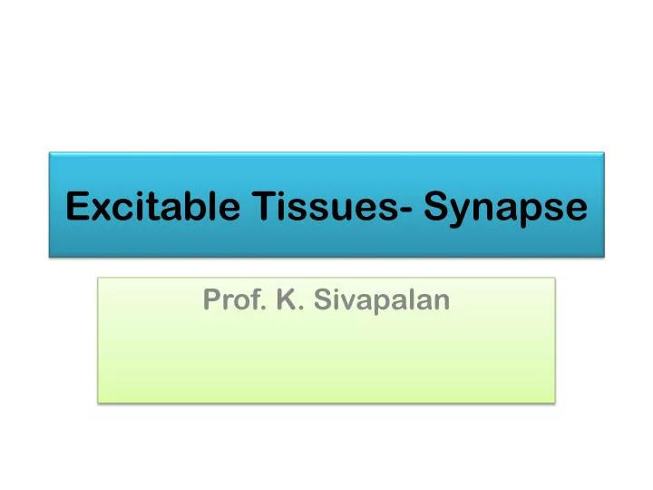 excitable tissues synapse