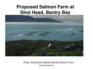 Proposed Salmon Farm at Shot Head, Bantry Bay
