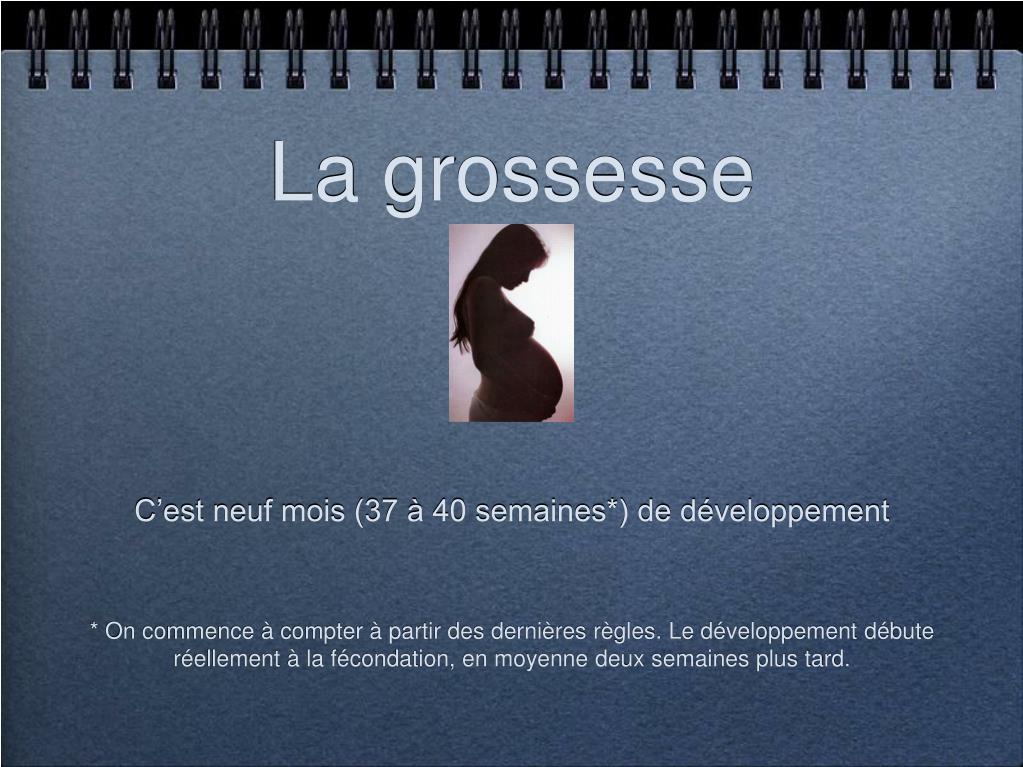 PPT - La grossesse PowerPoint Presentation, free download - ID:5312704