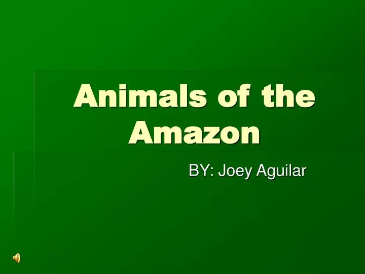 animals of the amazon