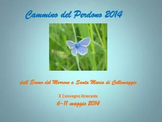 cammino del perdono 2014