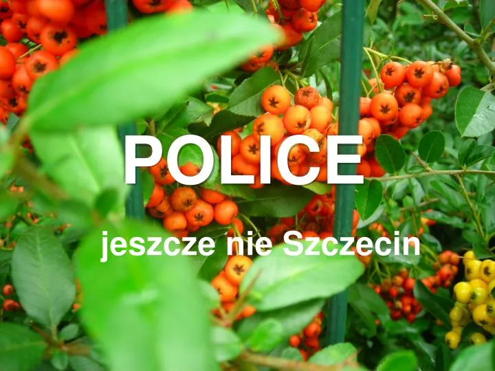 police