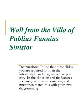 Wall from the Villa of Publius Fannius Sinistor