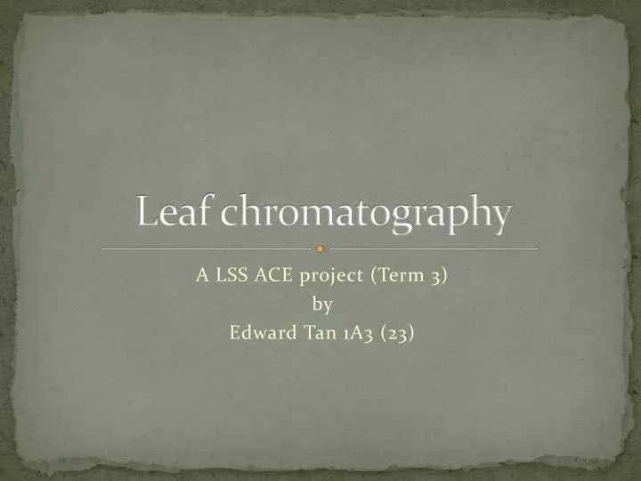 leaf chromatography