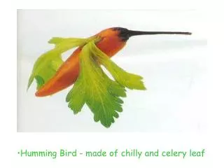 Humming Bird - made of chilly and celery leaf