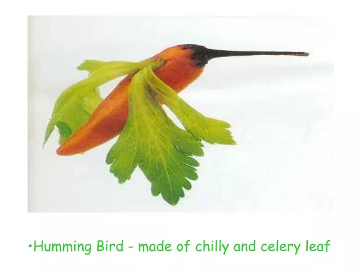 humming bird made of chilly and celery leaf
