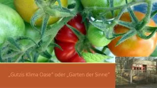 gutzis klima oase oder garten der sinne