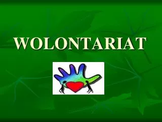wolontariat