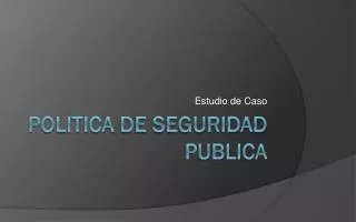 Politica de seguridad publica