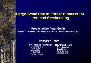 Large Scale Use of Forest Biomass for Iron and Steelmaking