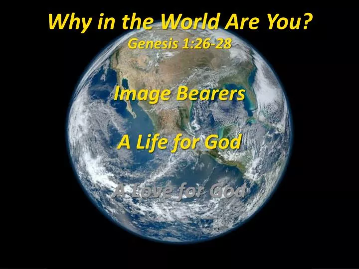 why in the world a re y ou genesis 1 26 28