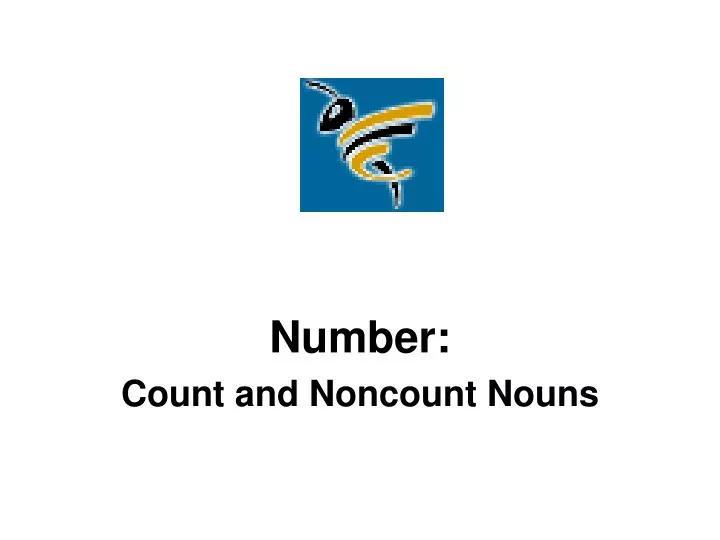 number count and noncount nouns