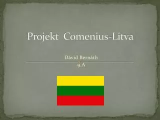 projekt comenius litva
