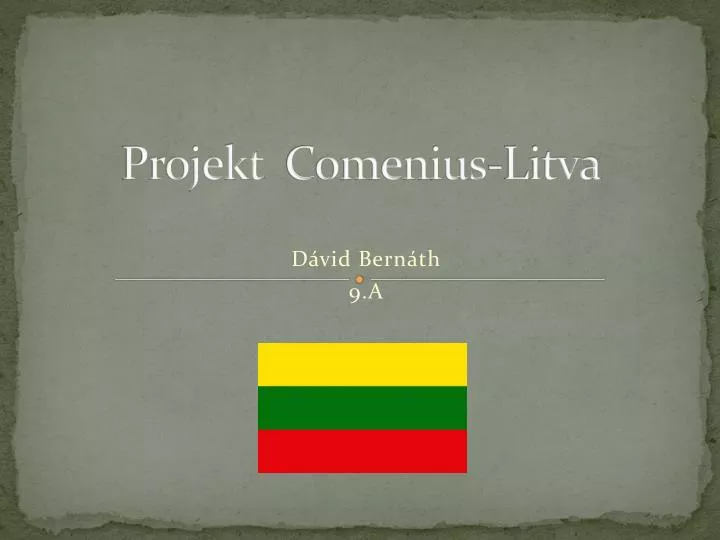 projekt comenius litva