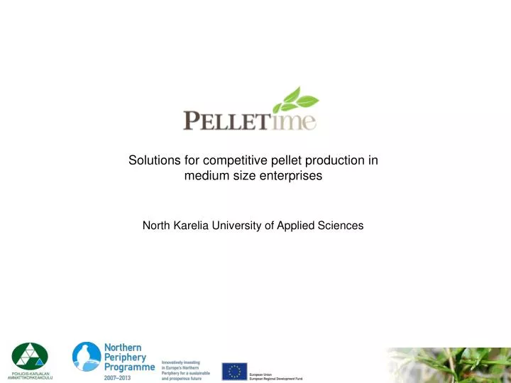 solutions for competitive pellet production in medium size enterprises